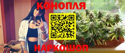 apvp Славгород