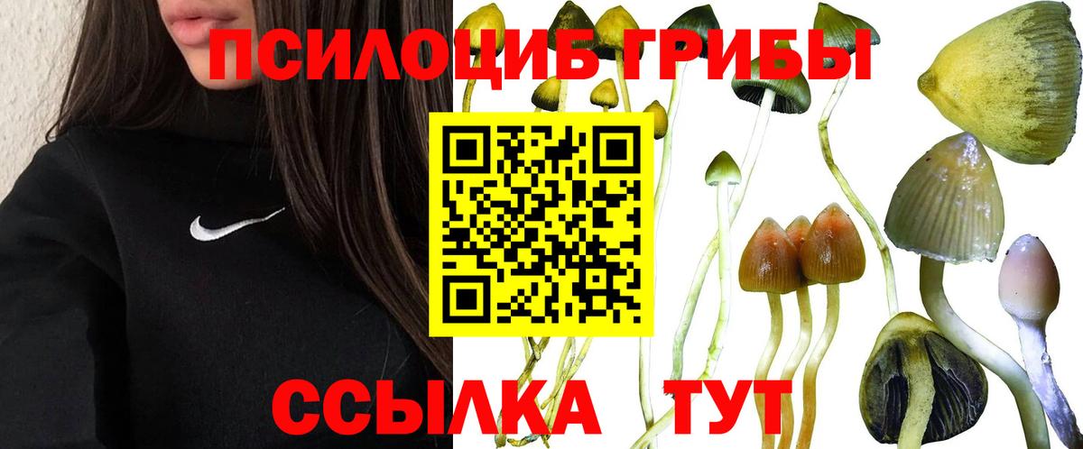 Галлюциногенные грибы мухоморы  Вход с VPN  Москва  Галлюциногенные грибы Psilocybe 